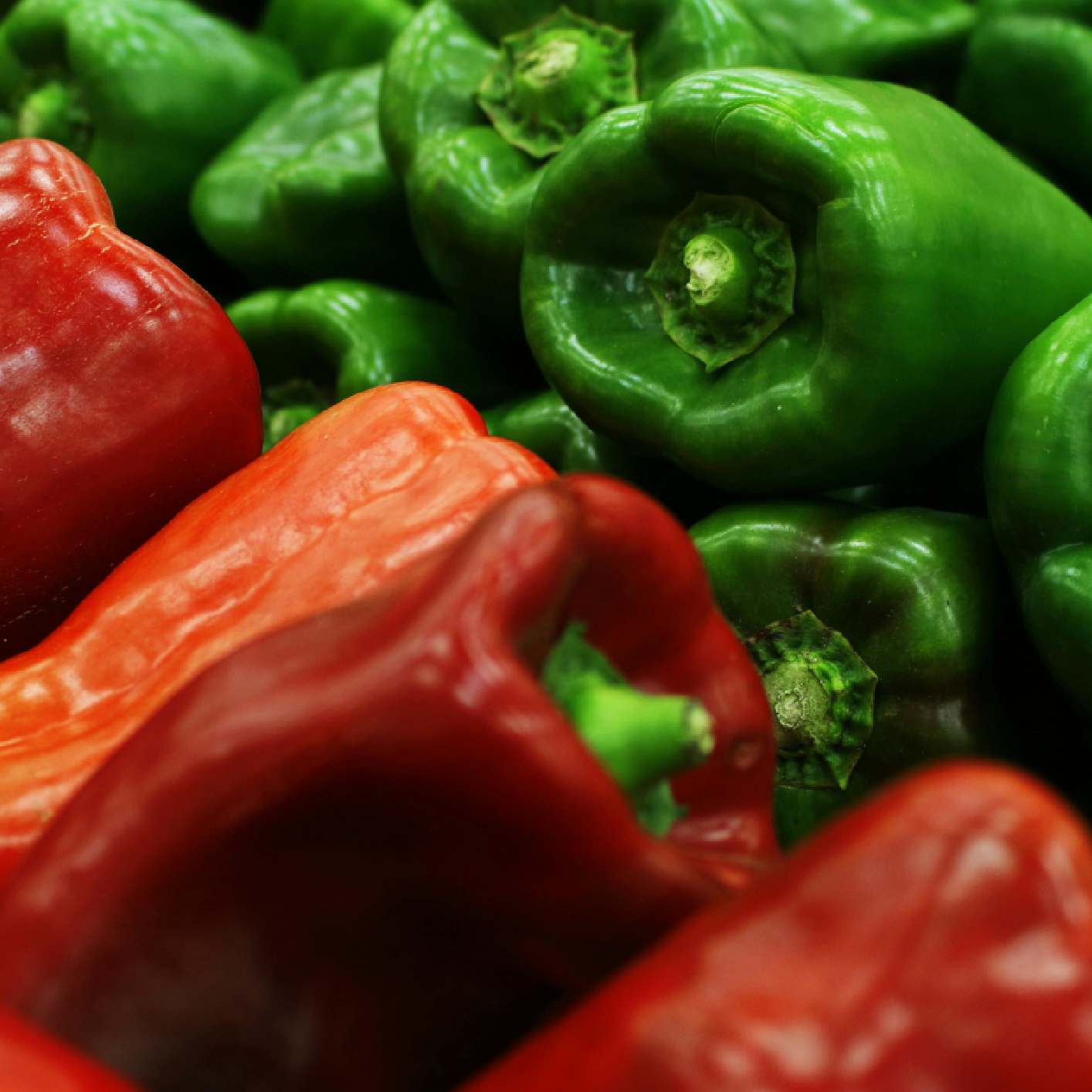 2LnVK7qZrmVyYrXkYHMuWc (1) Green Bell Peppers - Image 1