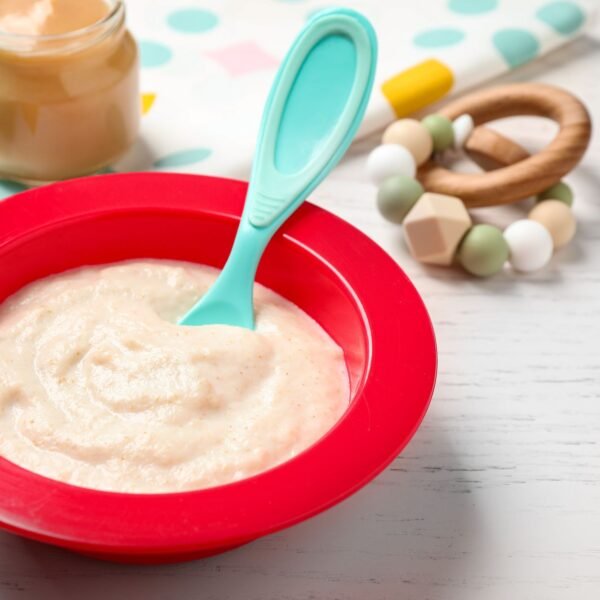 Baby Food Puree
